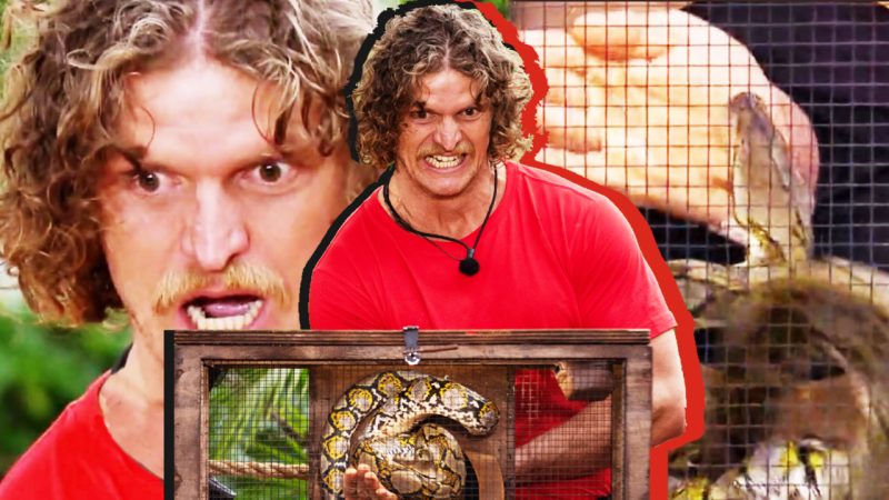 Epic experience': Nick 'The Honey Badger' Cummins got bitten by a snake and  frothed it