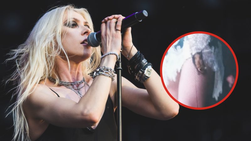 The Pretty Reckless’ Taylor Momsen gets rabies shots after being bitten by bat at AC/DC gig